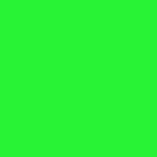 ROSCO Supergel Chroma Green 389