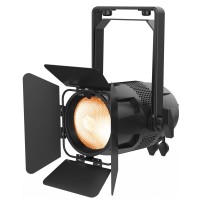 ACME STAGE PAR TUNGSTEN